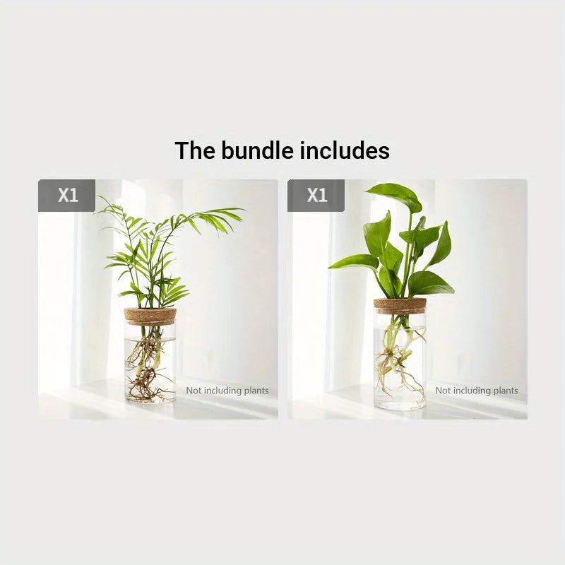 RootView Propagation Vase | Glass Desktop Hydroponic Planter