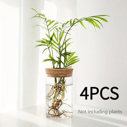 RootView Propagation Vase | Glass Desktop Hydroponic Planter