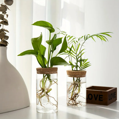 RootView Propagation Vase | Glass Desktop Hydroponic Planter