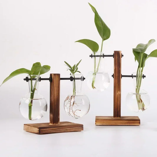 Bamboo Bud Hydroponic Vase | Glass Desktop Propagator