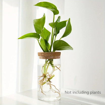 RootView Propagation Vase | Glass Desktop Hydroponic Planter