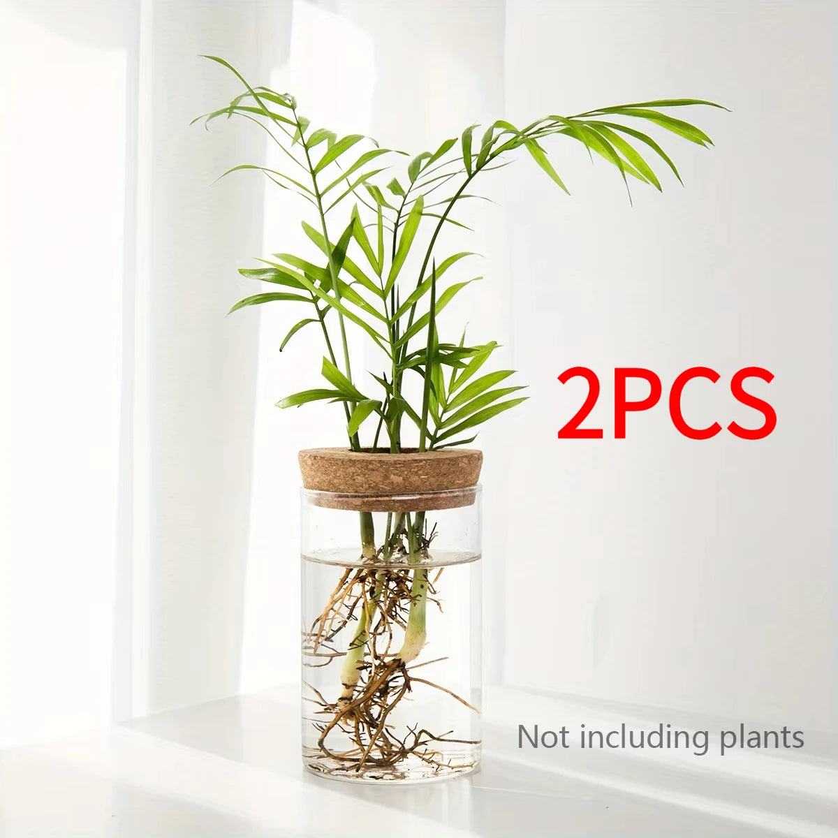 RootView Propagation Vase | Glass Desktop Hydroponic Planter