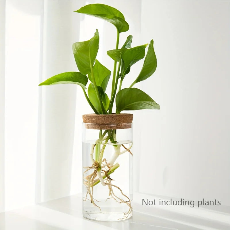 RootView Propagation Vase | Glass Desktop Hydroponic Planter