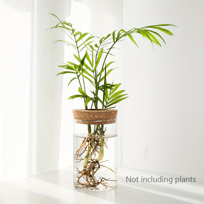 RootView Propagation Vase | Glass Desktop Hydroponic Planter