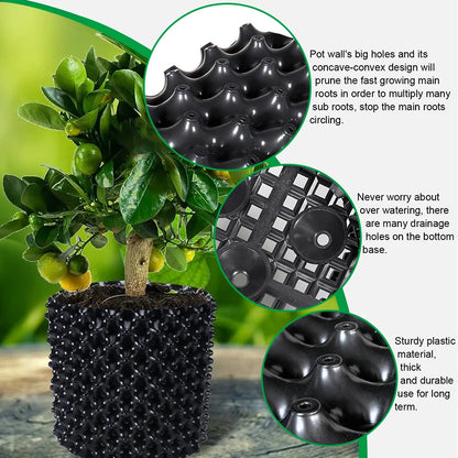 RootRise Air Pruning Pots | Root Control Nursery Pot