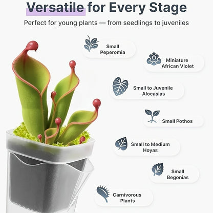 Sprout Start Self-Watering Pots | Mini Seedling Planters