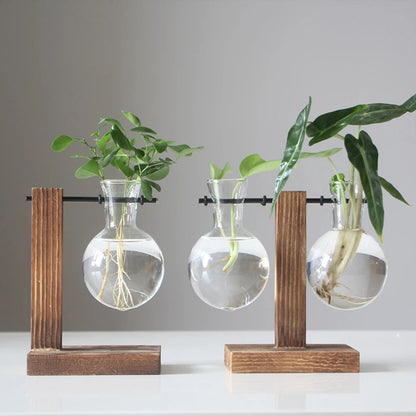 Arbor Bulb Vase | Glass Propagation Station with Wood Stand