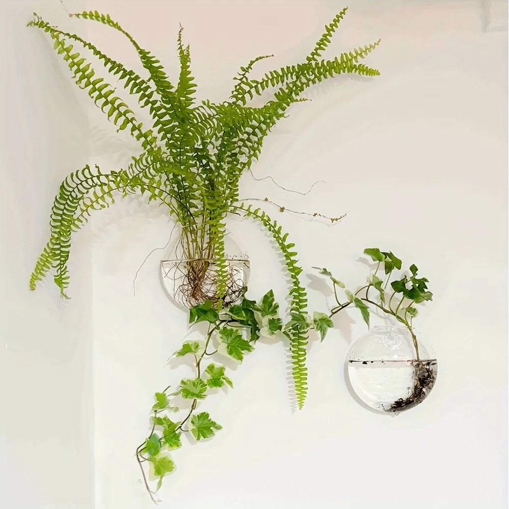 Bubble Wall Terrarium | Hanging Glass Hydroponic Planter